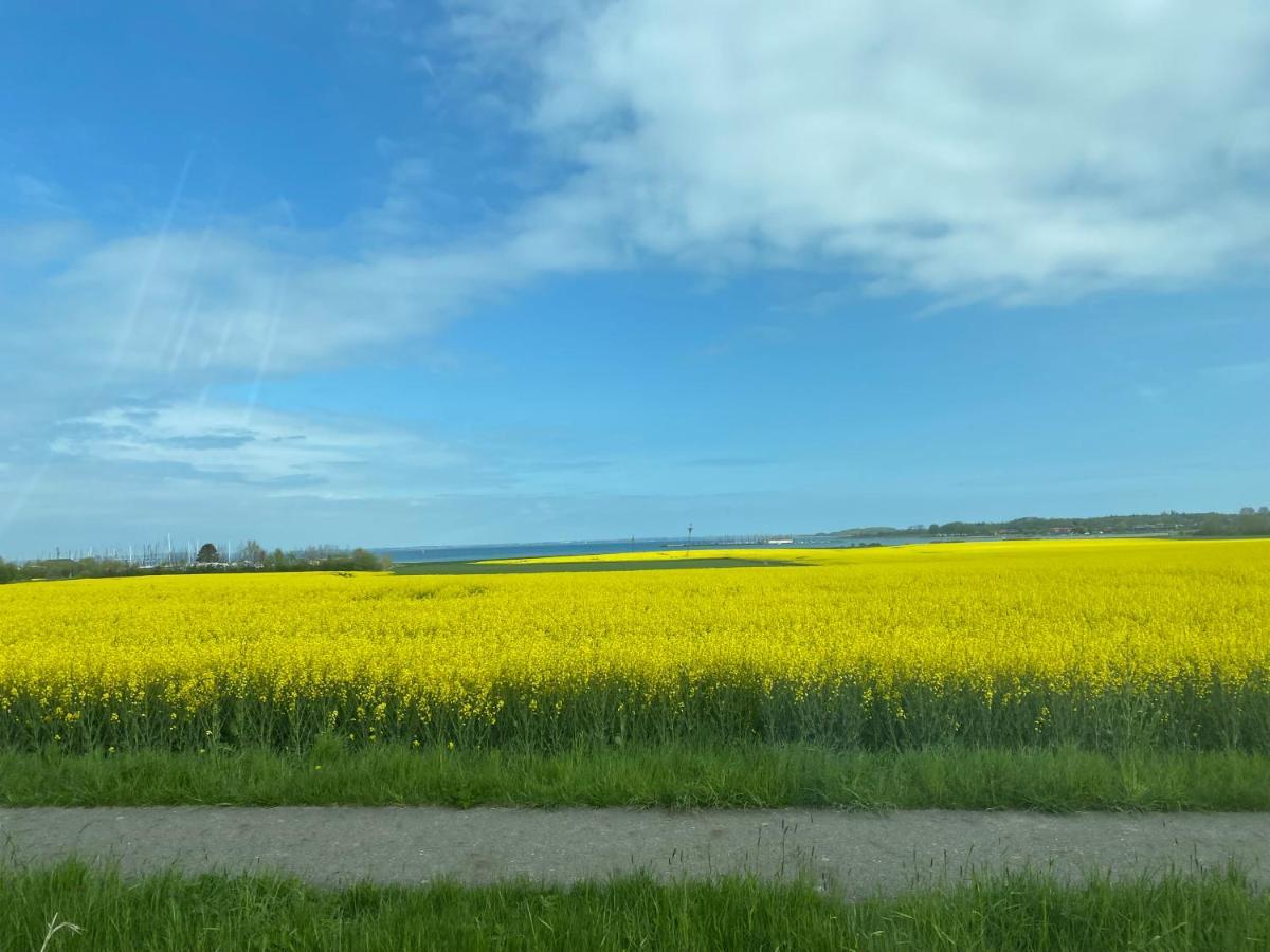 Mein-Ostseeplaetzchen Niesgrau Esterno foto