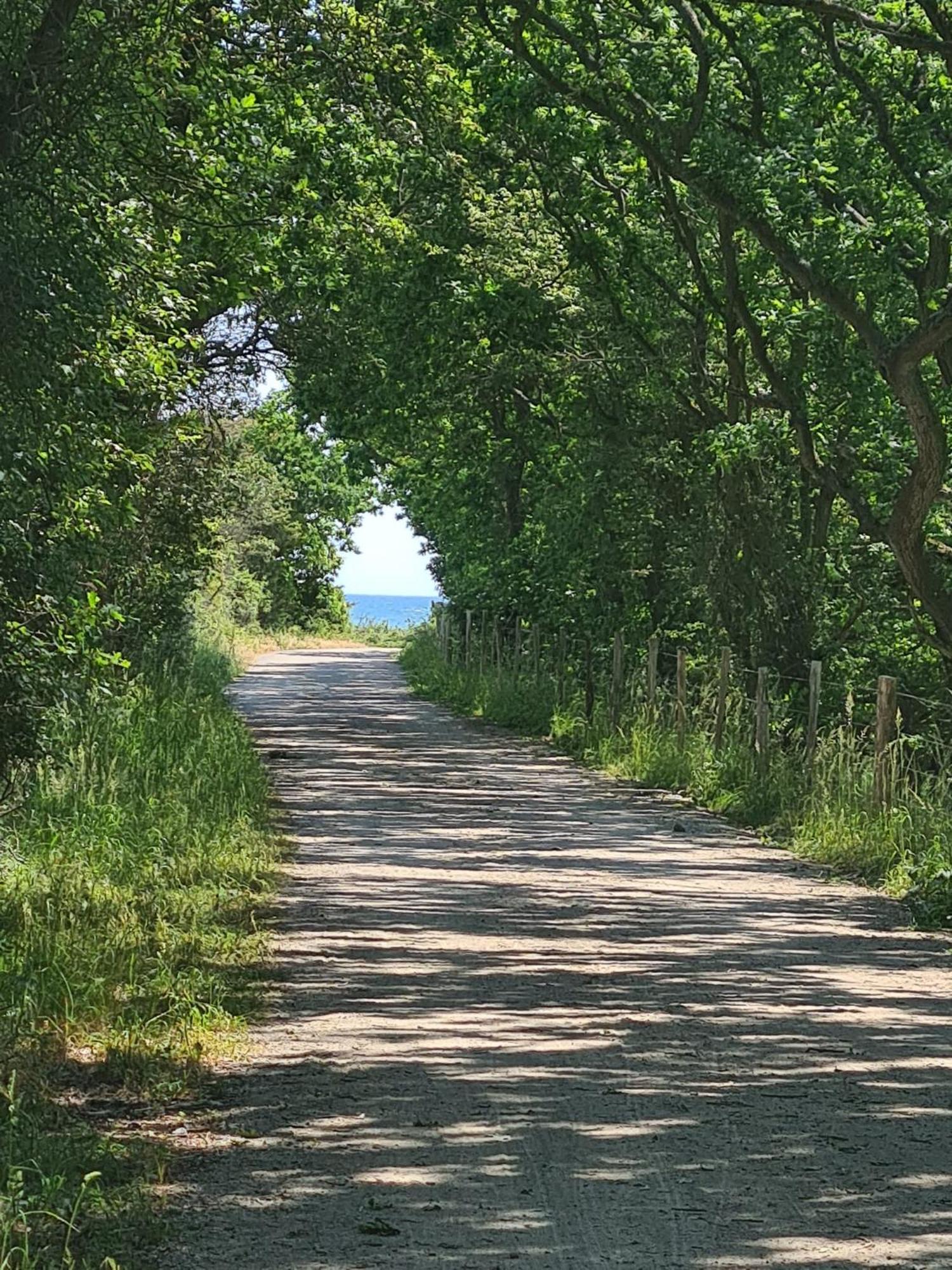 Mein-Ostseeplaetzchen Niesgrau Esterno foto
