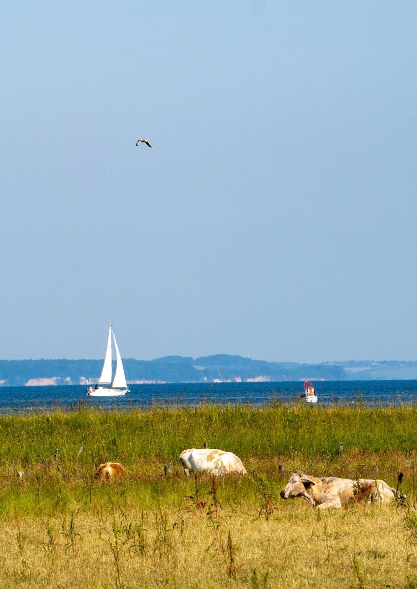 Mein-Ostseeplaetzchen Niesgrau Esterno foto