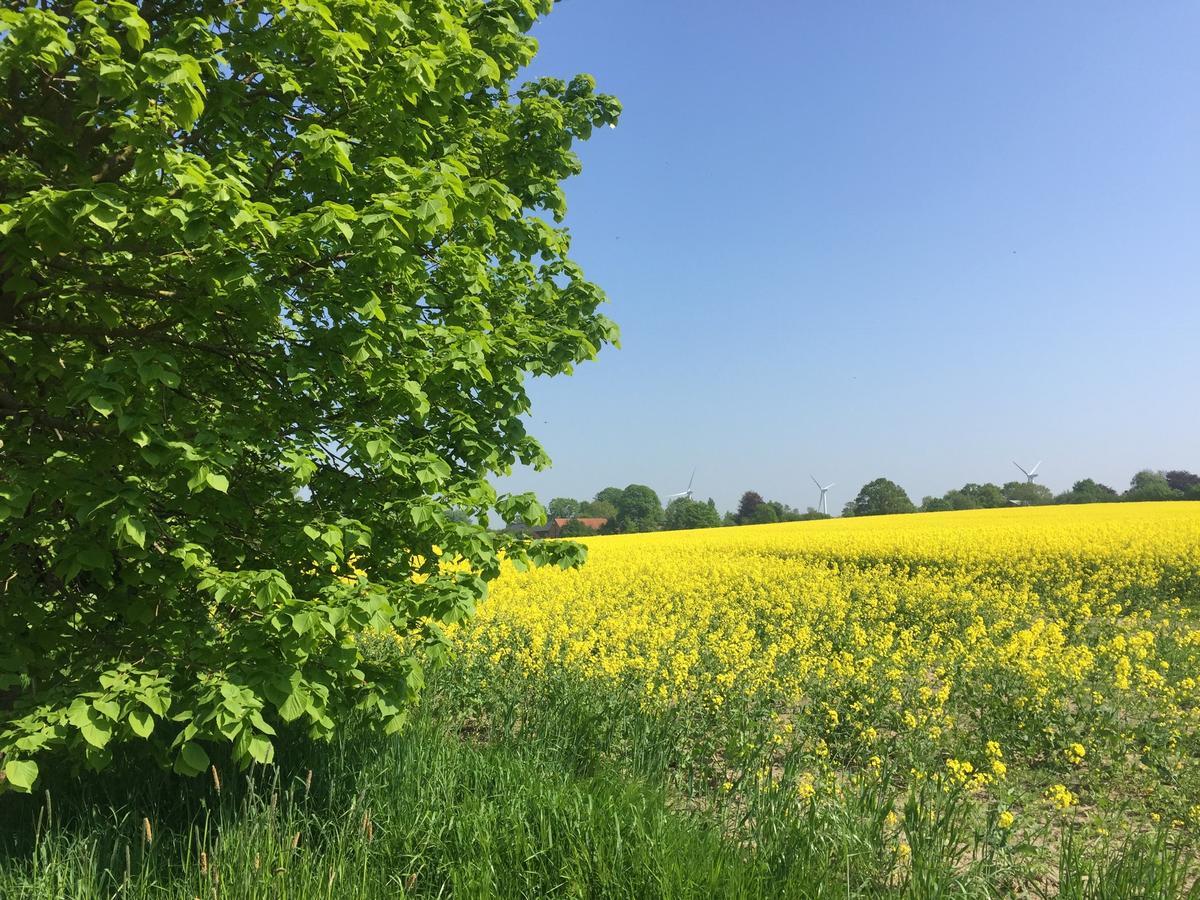 Mein-Ostseeplaetzchen Niesgrau Esterno foto